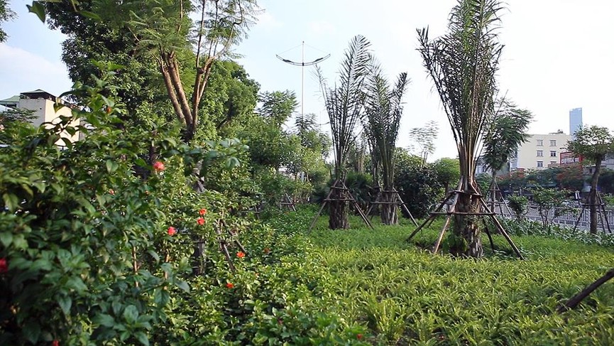 Giữa ngày nắng đổ lửa Hà thành, 'thiên đường' bóng mát là đây - ảnh 14