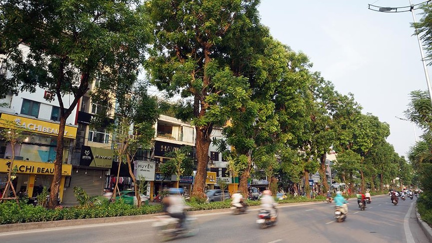 Giữa ngày nắng đổ lửa Hà thành, 'thiên đường' bóng mát là đây - ảnh 16