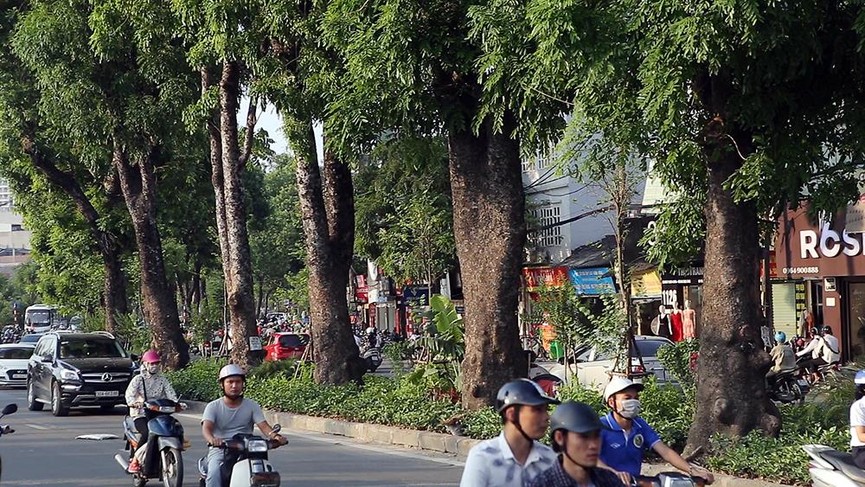 Giữa ngày nắng đổ lửa Hà thành, 'thiên đường' bóng mát là đây - ảnh 18
