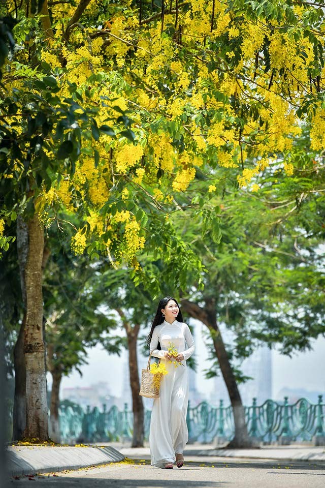 'Hot girl tráng bánh mướt' xứ Nghệ đẹp dịu dàng dưới tán hoàng yến - ảnh 11
