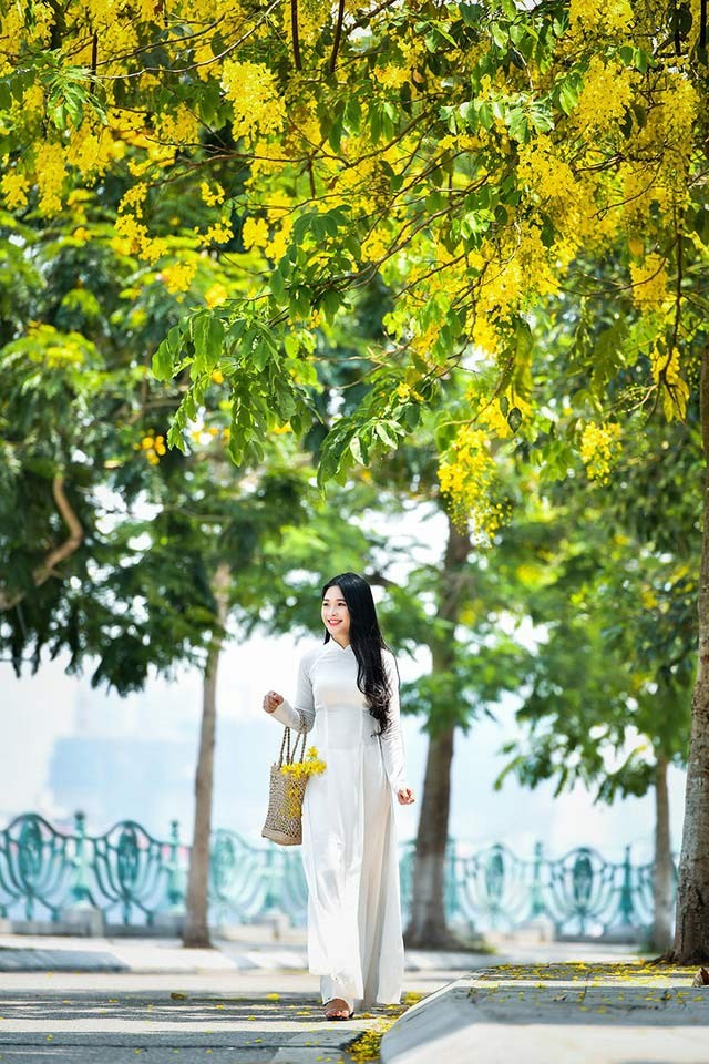 'Hot girl tráng bánh mướt' xứ Nghệ đẹp dịu dàng dưới tán hoàng yến - ảnh 1