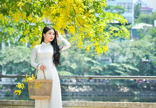 'Hot girl tráng bánh mướt' xứ Nghệ đẹp dịu dàng dưới tán hoàng yến - ảnh 2