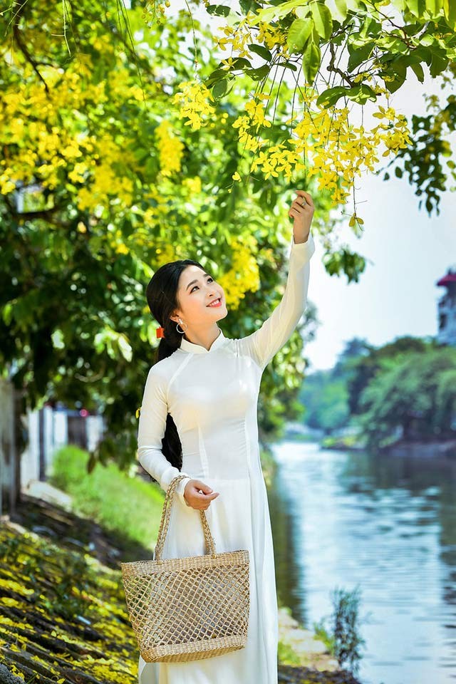 'Hot girl tráng bánh mướt' xứ Nghệ đẹp dịu dàng dưới tán hoàng yến - ảnh 4