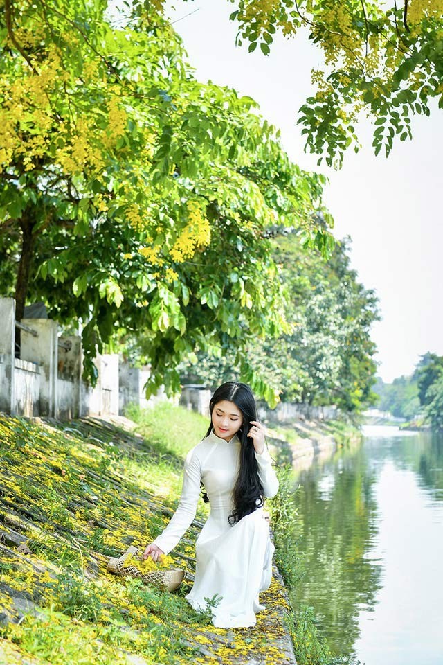 'Hot girl tráng bánh mướt' xứ Nghệ đẹp dịu dàng dưới tán hoàng yến - ảnh 7