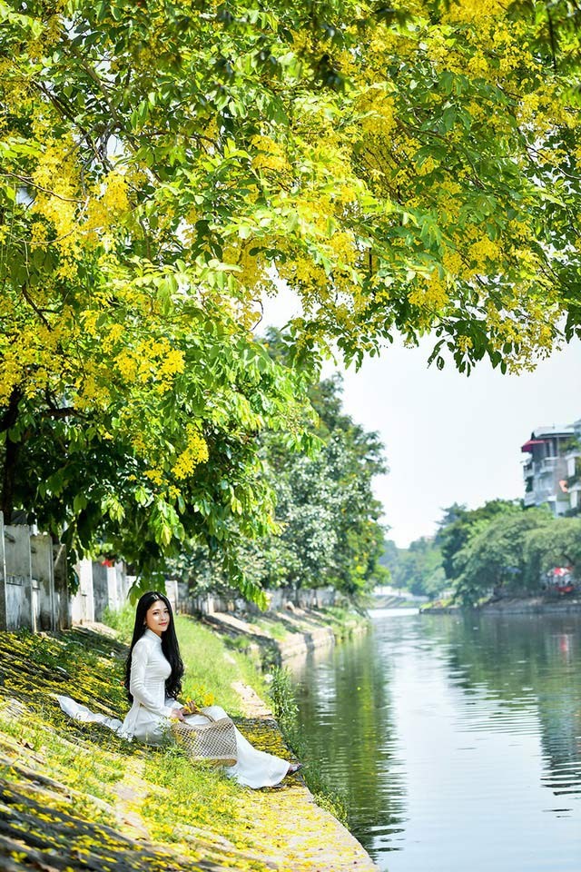 'Hot girl tráng bánh mướt' xứ Nghệ đẹp dịu dàng dưới tán hoàng yến - ảnh 8