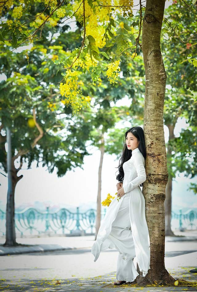 'Hot girl tráng bánh mướt' xứ Nghệ đẹp dịu dàng dưới tán hoàng yến - ảnh 9