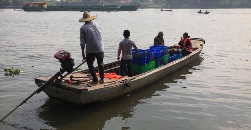 Cá chép ông Táo chưa kịp “hoá rồng” đã bị chích điện - ảnh 6