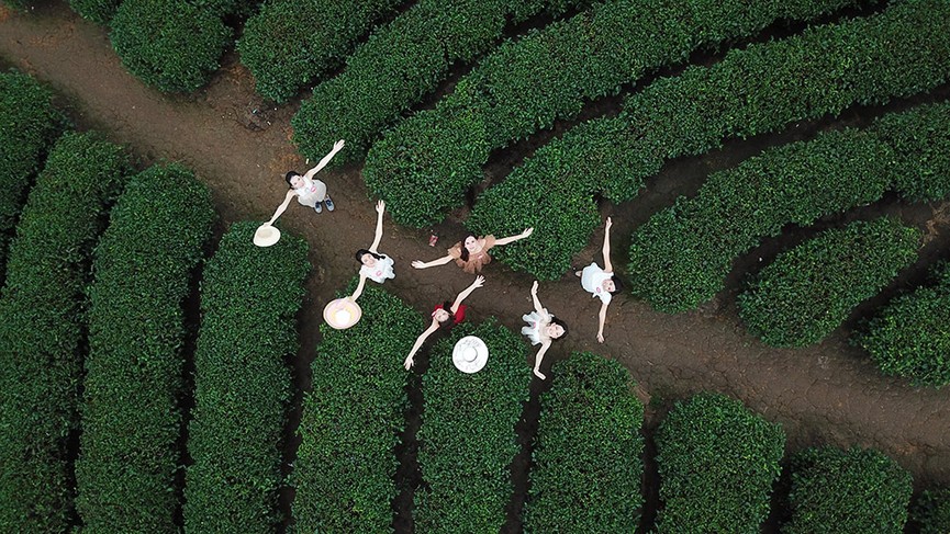 Đảo chè Thanh Chương tuyệt đẹp qua góc quay flycam - ảnh 8