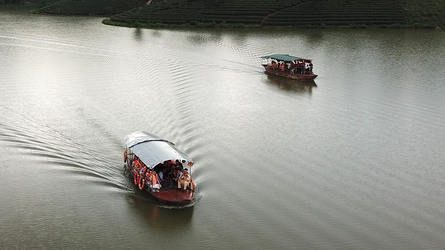 Đảo chè Thanh Chương tuyệt đẹp qua góc quay flycam - ảnh 9