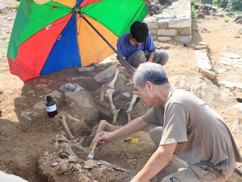 Các nhà khảo cổ học đang thu lượm mẫu xương trâu tại di tích Đàn tế Nam Giao, Thành nhà Hồ Ảnh: Hoàng Lam