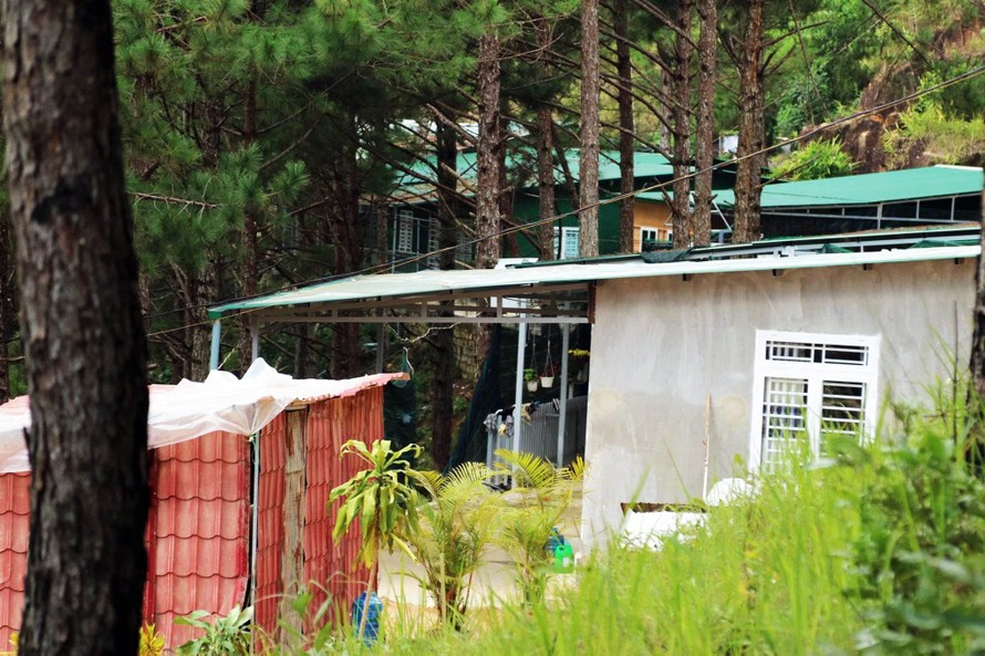 Dãy nhà không phép "mọc" giữ rừng thông