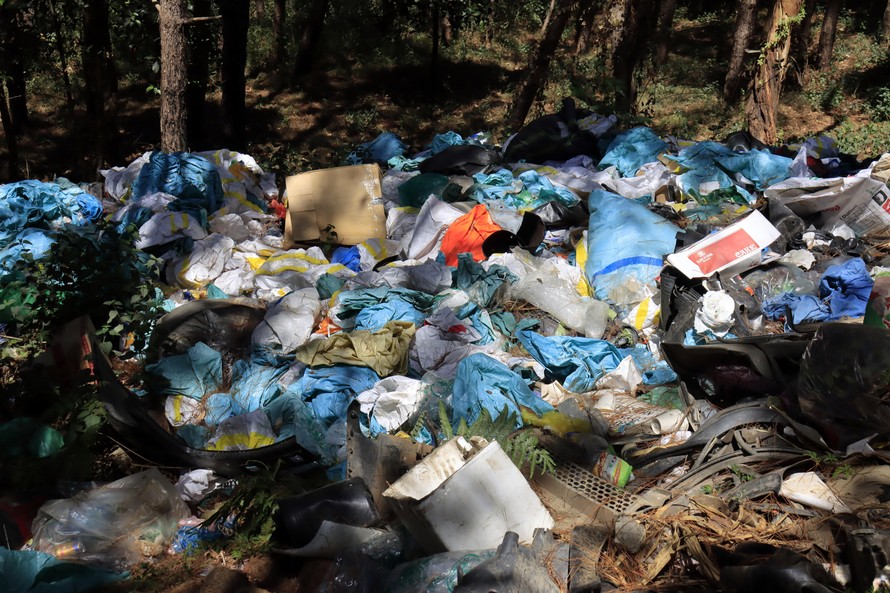 Tuồn rác thải vào rừng thông ven đèo Mimosa