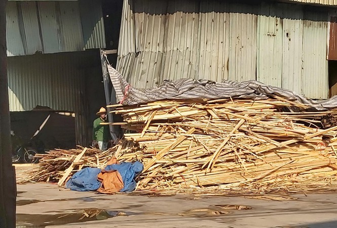 Một xưởng sản xuất gỗ ép gây ô nhiễm môi trường trên địa bàn huyện Đông Anh. Ảnh Võ Hóa. 