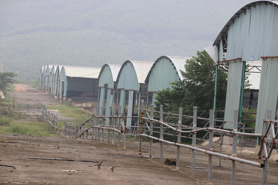 Khung cảnh hoang tàn bên trong đại dự án chăn nuôi bò ở Hà Tĩnh