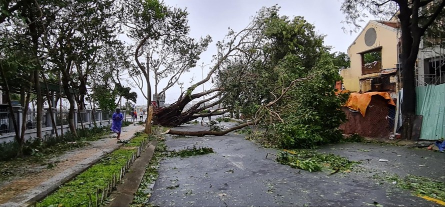 Bão số 9 và hoàn lưu bão kéo dài gây thiệt hại ở Đà Nẵng. Ảnh: Cảnh Huệ