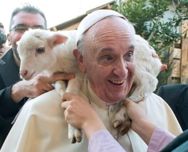 Giáo hoàng Francis trong ngày lễ “Chúa Chiên lành”Ảnh: V.T.C