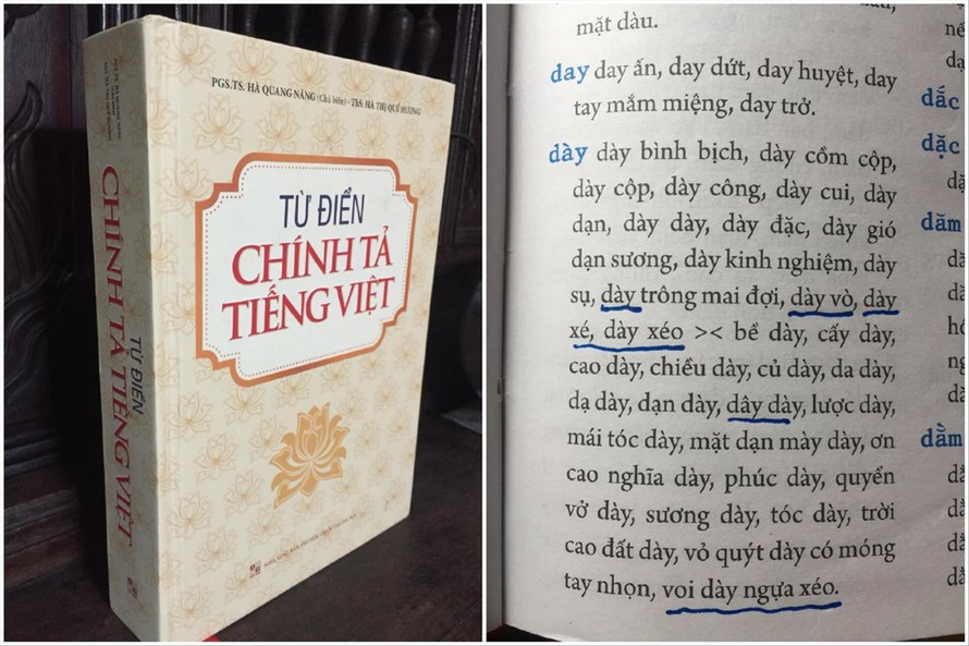 Cuốn từ điển chi chít lỗi chính tả của NXB Đại học Quốc gia Hà Nội Ảnh: HOÀNG TUẤN CÔNG 