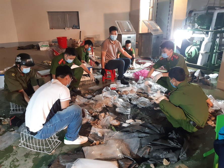 Đường dây ma túy quốc tế đóng hàng 'xuất khẩu' tại kho thịt đông lạnh ở Hà Nội
