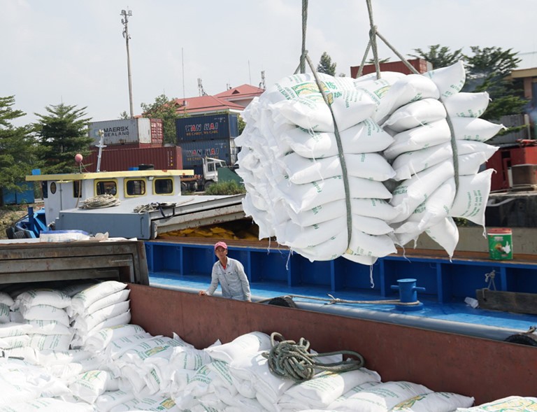 Nhiều DN xuất khẩu gạo bức xúc với cách vận hành xuất khẩu gạo vừa qua, gây thiệt hại cho DN