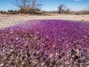 Hàng ngàn quả cầu tím bí ẩn giữa sa mạc