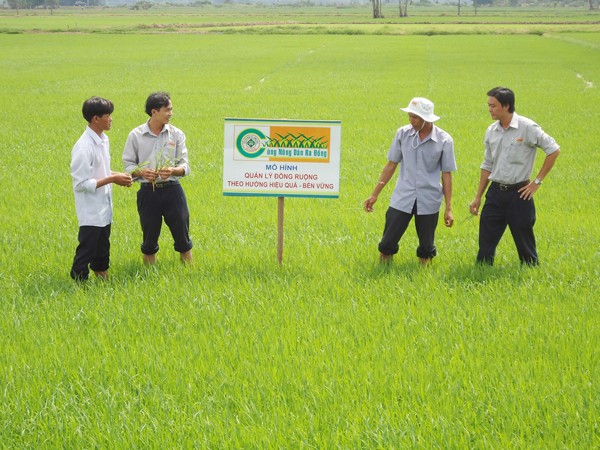 Thanh niên hỗ trợ chuyển giao khoa học kỹ thuật phòng chống sâu bệnh cho nông dân An Giang