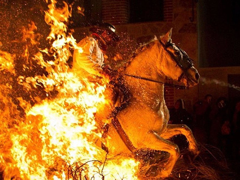 Lễ hội cưỡi ngựa băng qua lửa