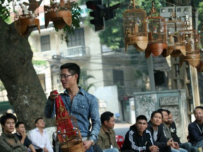 Quán cafe chim Hồ Thiền Quang