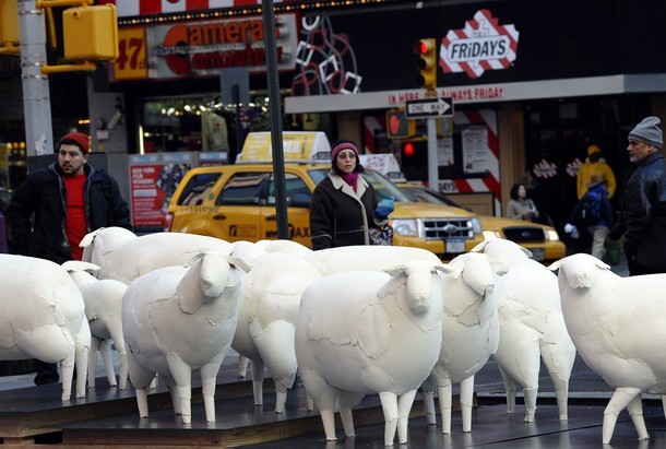 Cừu 'vây' Quảng trường Thời đại
