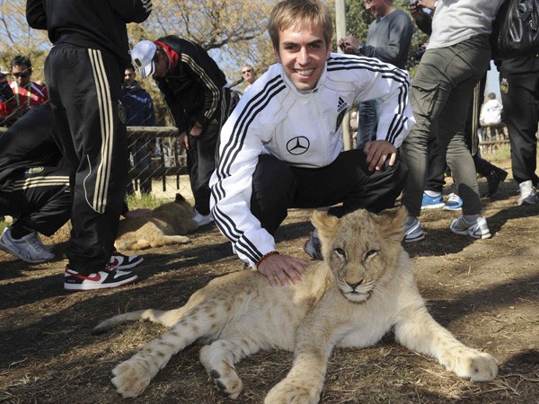 Trước trận gặp 'sư tử' Anh, tuyển thủ Đức chơi với… sư tử