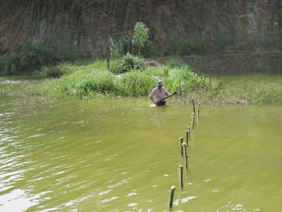 Hàng rào tạm bợ phòng Rùa Hoàn Kiếm thoát khỏi hồ Đồng Mô. Ảnh: Phạm Cường