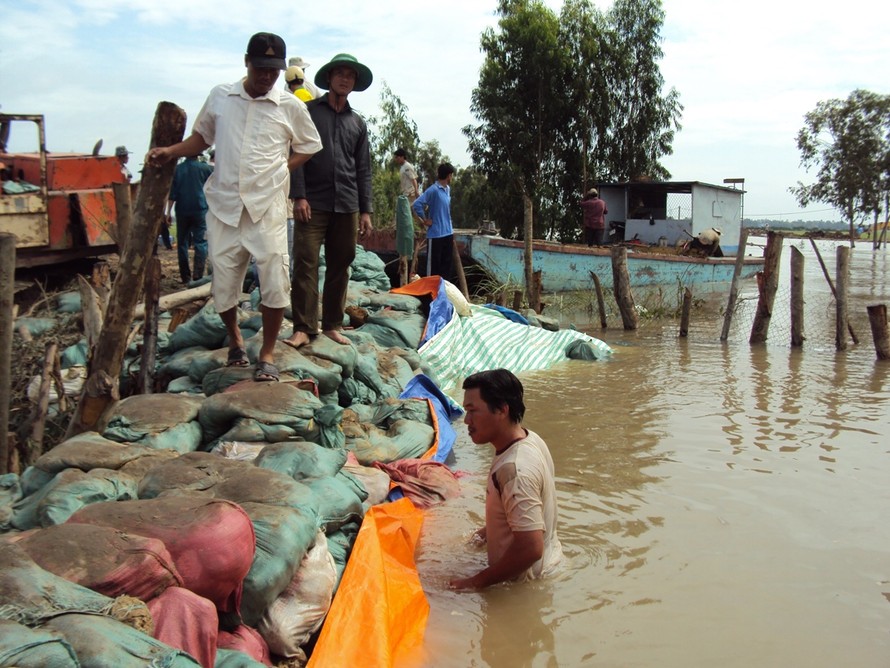 Coca Cola tham gia cứu trợ tại vùng lũ Đồng Bằng Sông Cửu Long