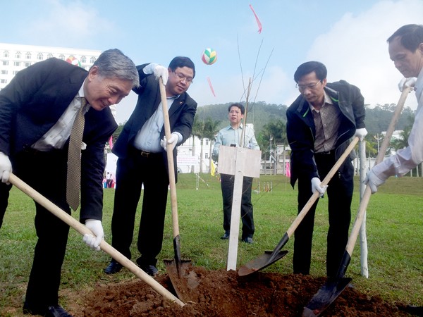 140 cây hoa anh đào được trồng tại Quảng Ninh