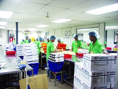 Lao động Việt Nam do Cty Châu Hưng đưa đi làm việc tại Nhà máy Southern Cable – Malaysia Ảnh: Phong Cầm