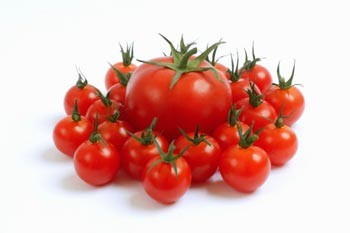 Lợi ích từ cà chua
