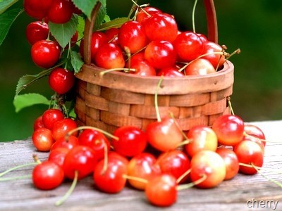 Trái cherry, đắt xắt ra… thuốc?