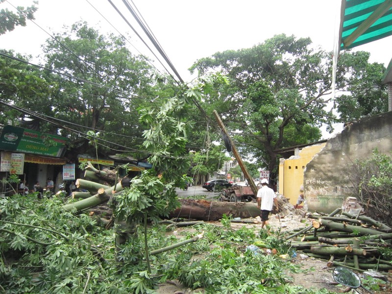 Thanh Hóa thiệt hại 167 tỷ đồng vì bão số 6