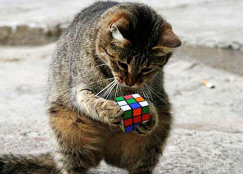 Khối Rubik trí tuệ là đồ chơi bán chạy nhất thế giới?