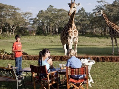 Ăn tối cùng hươu cao cổ ở Nairobi