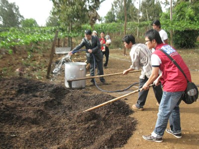 Sinh viên giúp dân trồng cà phê