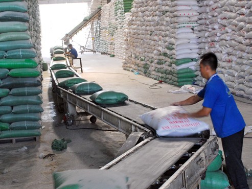 Trung Quốc mua gạo Việt Nam: Tăng đột biến!