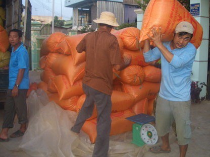 Gạo Việt xuất khẩu đứng giá