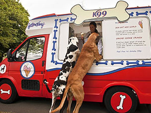 Chế tạo kem dành riêng cho chó