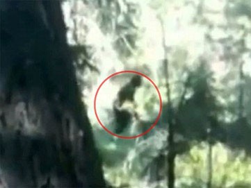 'Người rừng khổng lồ' gây tranh cãi trên YouTube