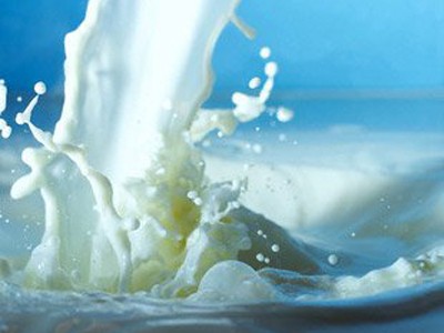 716 triệu USD nhập khẩu sữa