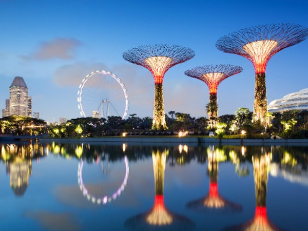 Singapore ra mắt vườn siêu năng lượng