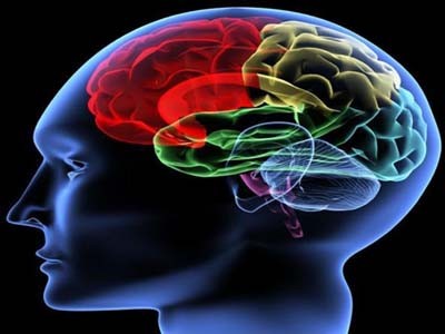 Mười điều kinh ngạc về não người