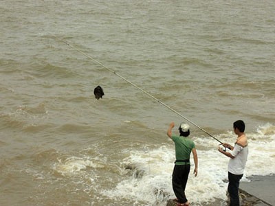 Ra biển câu cá, chụp ảnh siêu bão 'làm kỷ niệm'
