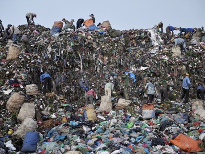 Thân vạc nơi bãi rác Nam Sơn