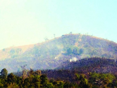 Gia Lai: Cháy rừng phòng hộ Đông Bắc Biển Hồ