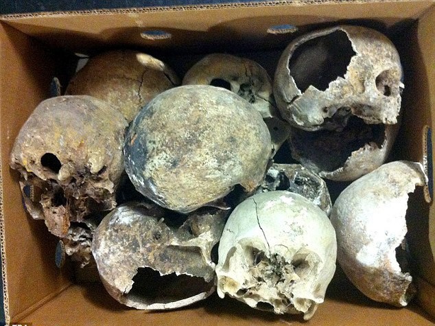 Số xương sọ người bị phát hiện trong nhà của người đàn ông Úc